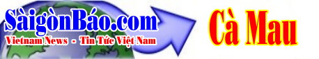 techno-banner