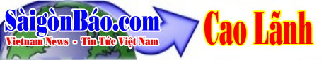 techno-banner