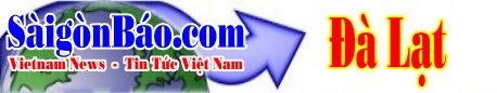 techno-banner