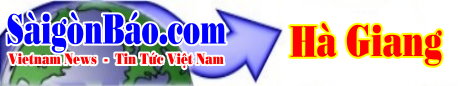 techno-banner