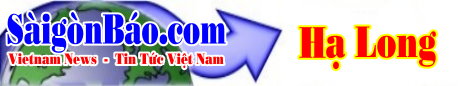 techno-banner