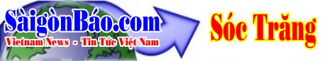 techno-banner