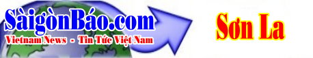 techno-banner