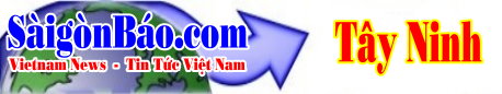 techno-banner