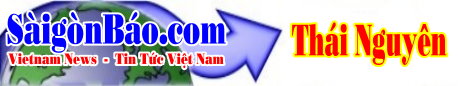 techno-banner