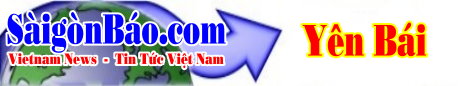 techno-banner