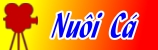 nuoi tom